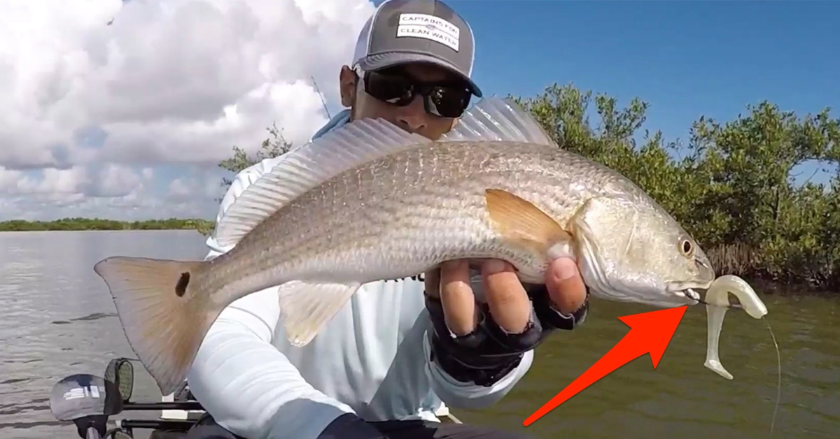 This Hook Makes Rigging Z-Man Lures Super Easy