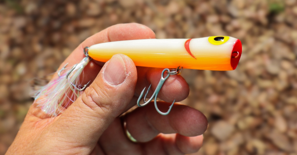 http://rattlin'%20saltwater%20chug%20bug%20topwater%20lure