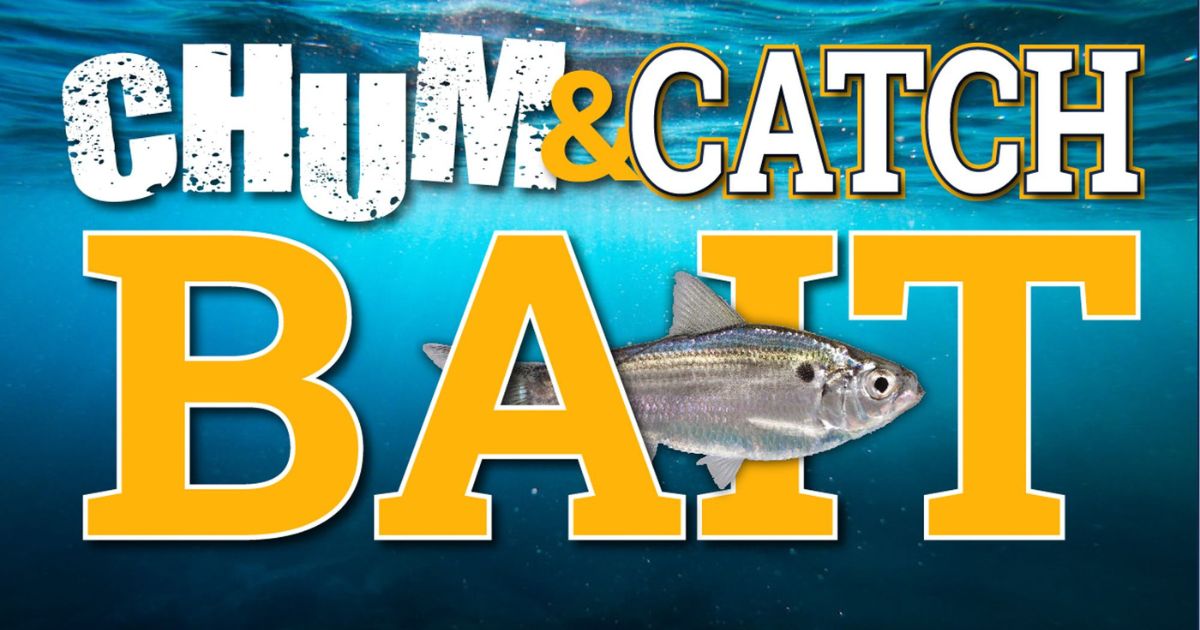 It's THIS Easy To Catch Live Baitfish Using Baitmasters Chum!