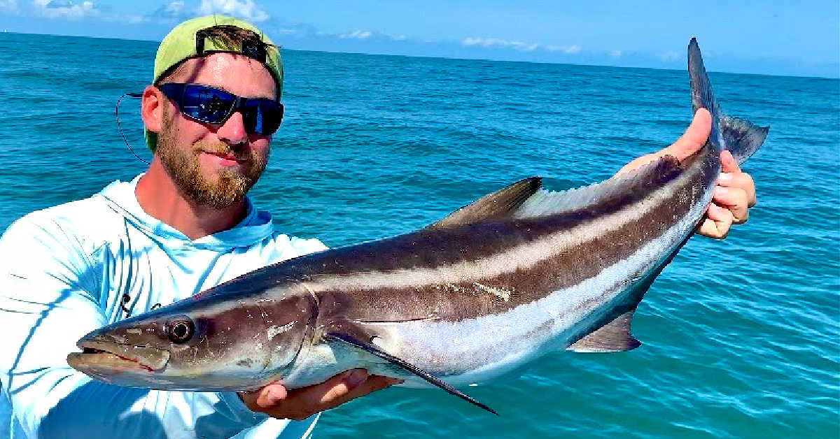 This Is How To Use Chum To Catch Cobia Offshore