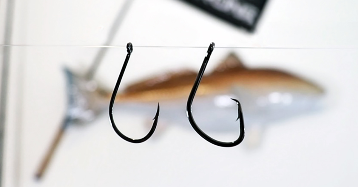 Circle Hooks vs. J Hooks: Choosing Which Hook To Use With Live Bait