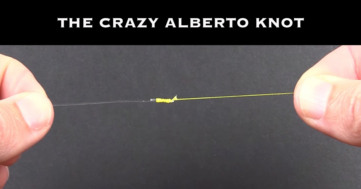 http://The%20Crazy%20Alberto%20Knot