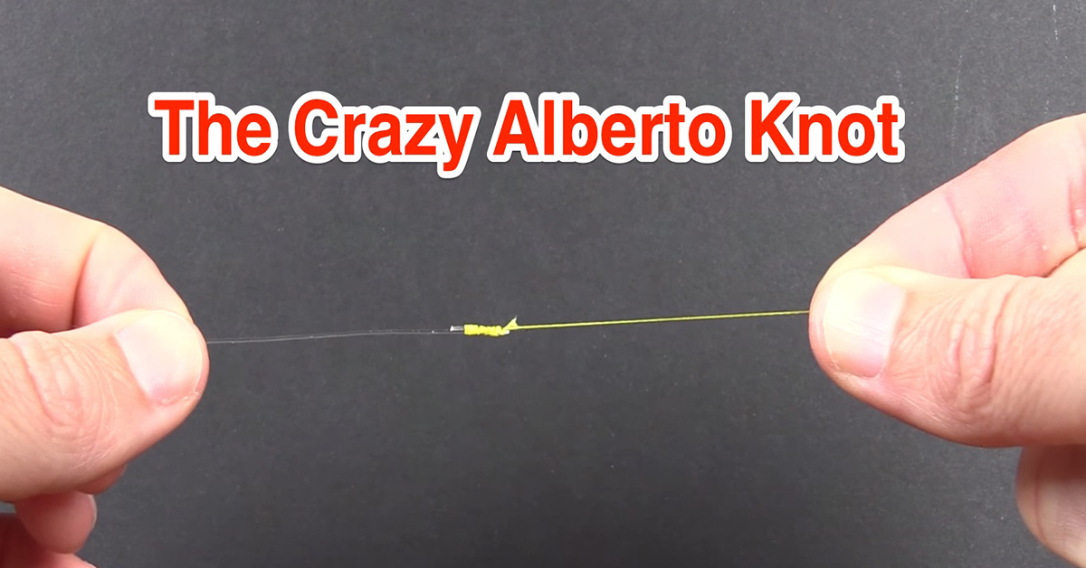 The Crazy Alberto Knot