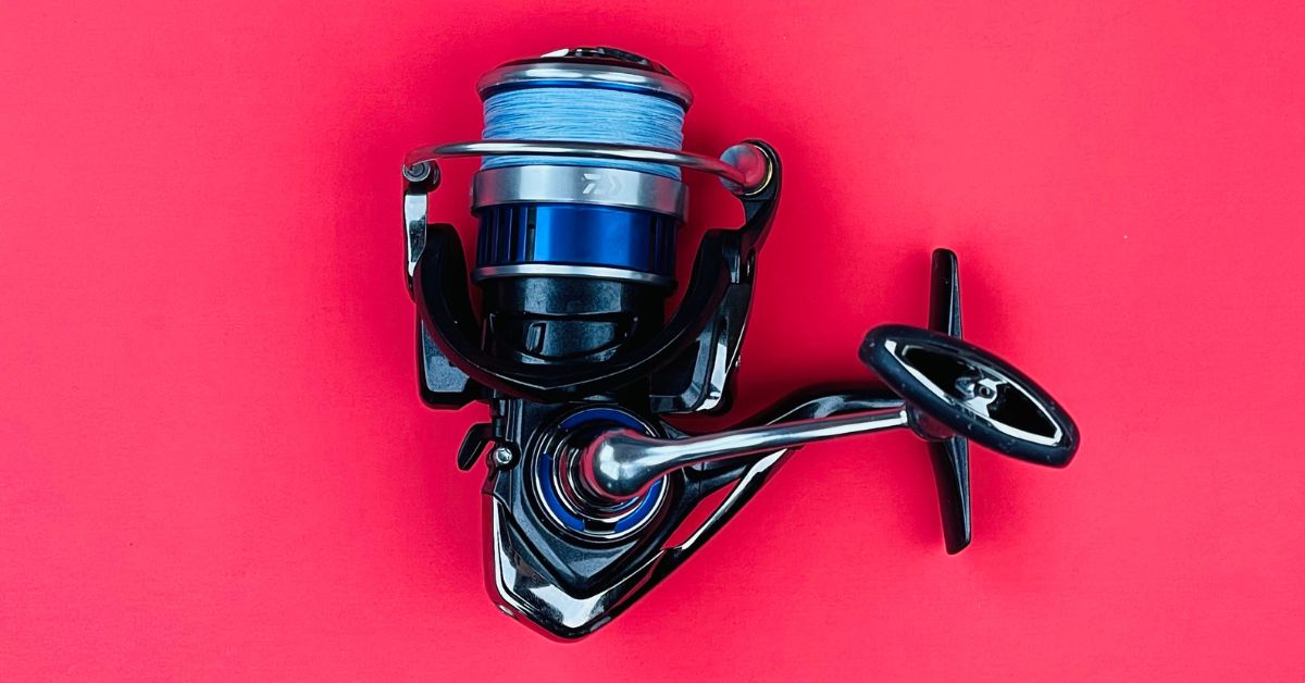 This Is The Best Reel Under the 100 Price Point