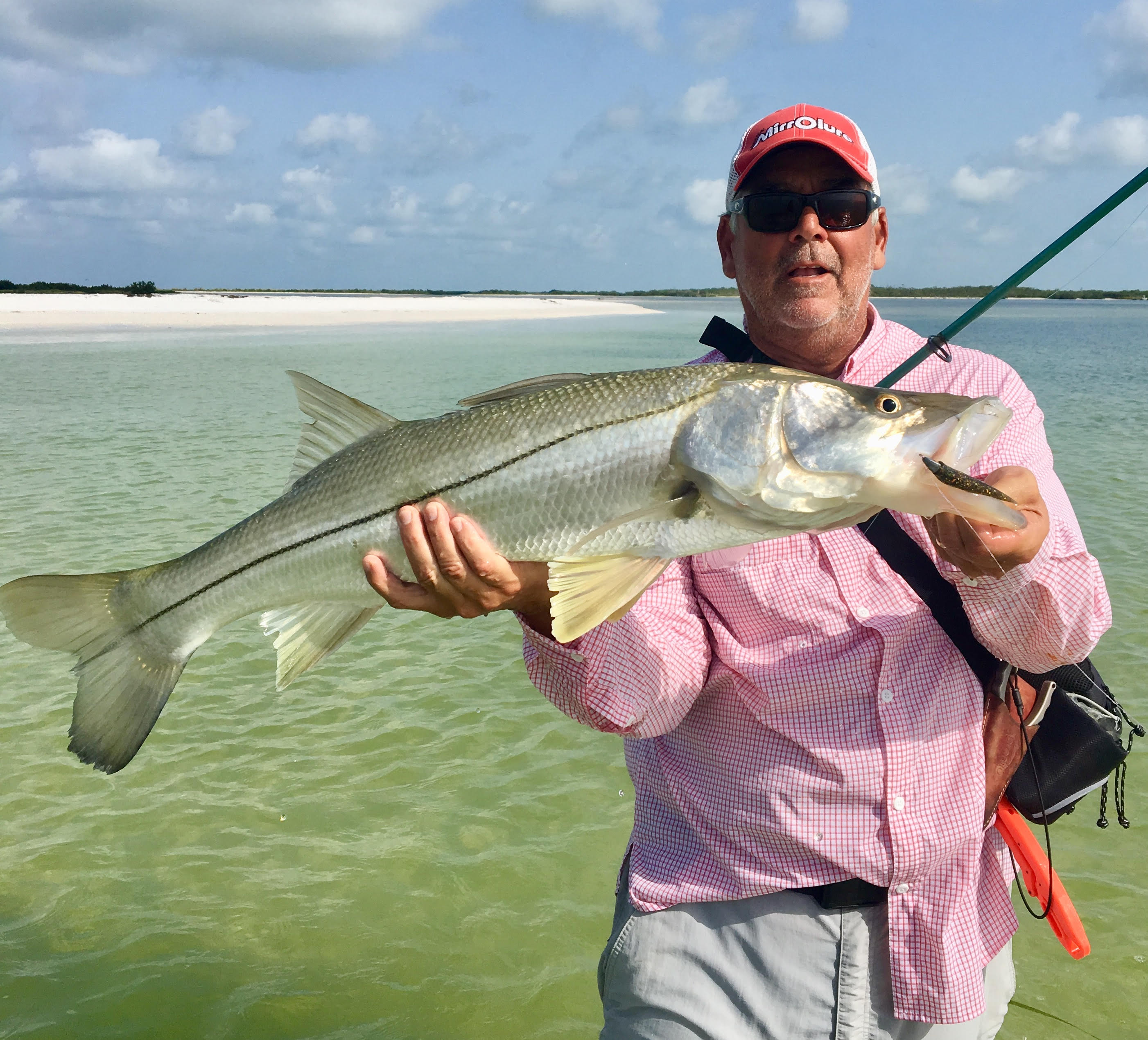 snook from the beach in the summer