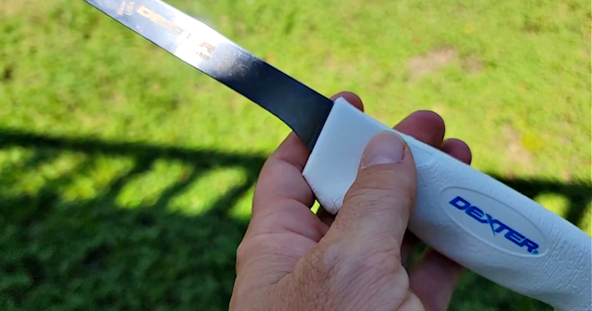 Dexter Fillet Knife Review (The Knife The Pros Use)