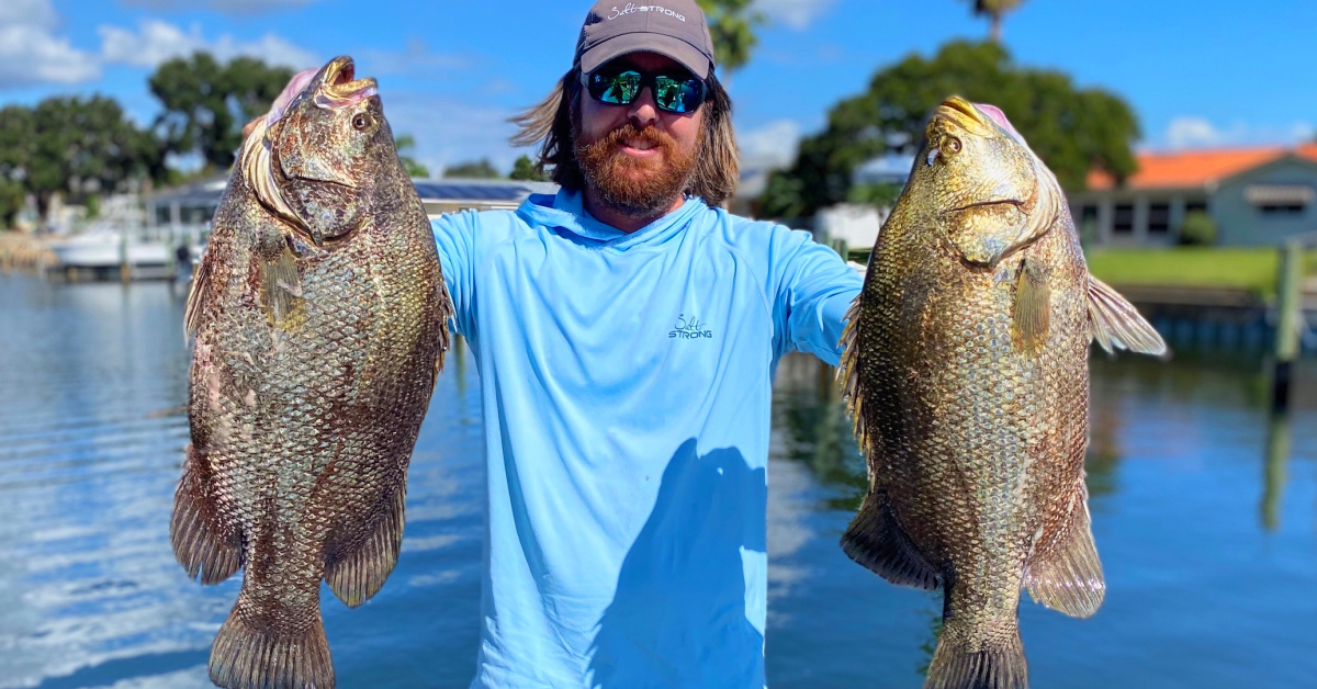 http://double%20keeper%20tripletail