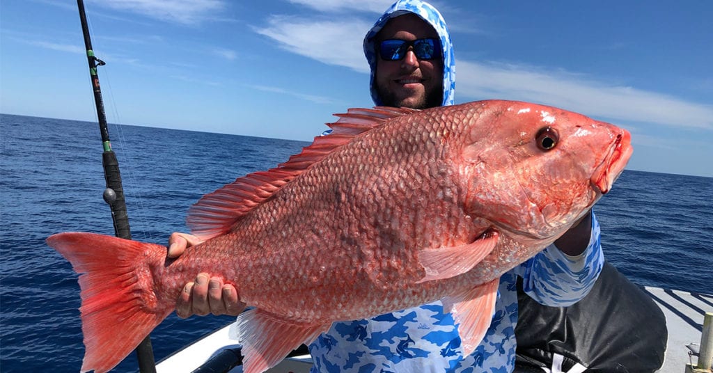 how to catch red snapper