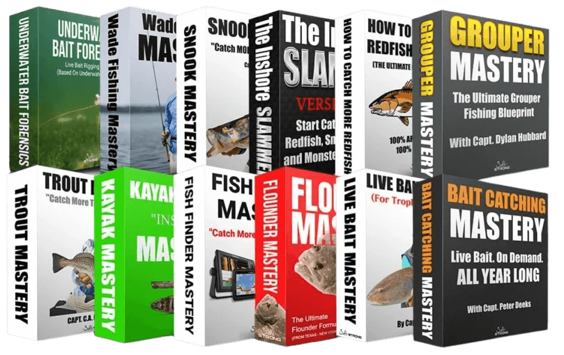 twelve fishing mastery courses