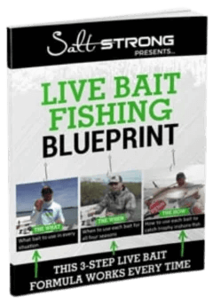 live bait fishing book