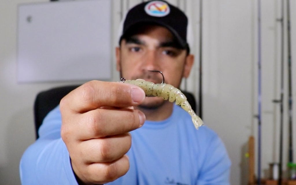 ZMan EZ ShrimpZ Review [How to Rig & Underwater Demo Video]