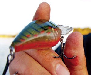 Got a treble hook to the hand for the first time yesterday, 1/10 definitely  would not recommend. : r/Fishing