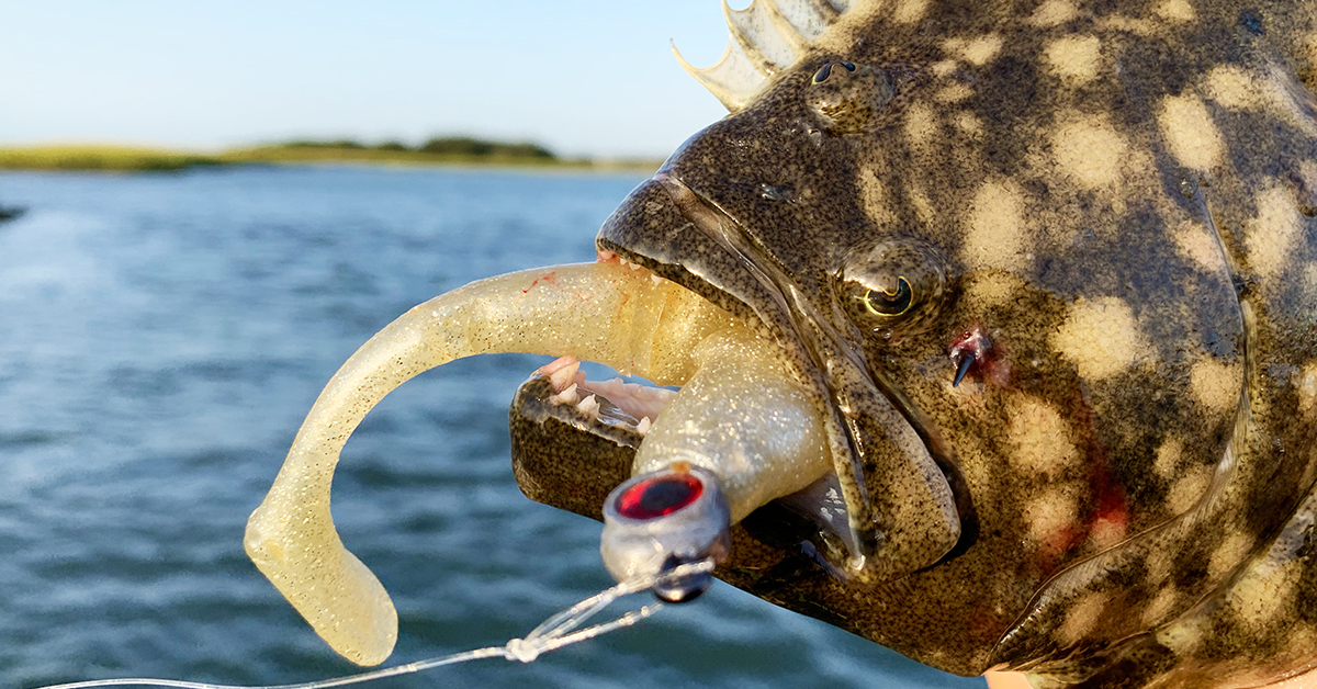 Flounder Fishing Tips (For The Flats)