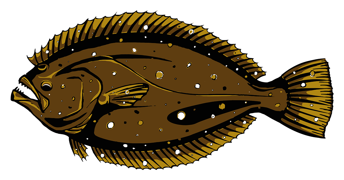 http://flounder%20fishing%20tips