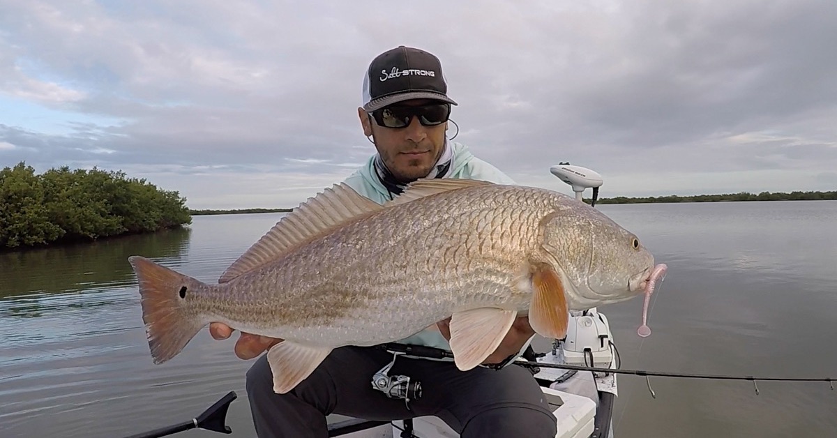 What Is The Best Lure For Spring Redfish?