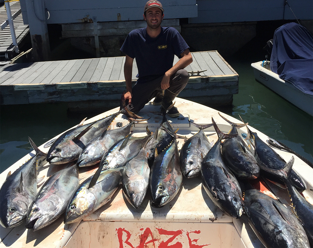 boatload of pacific tuna