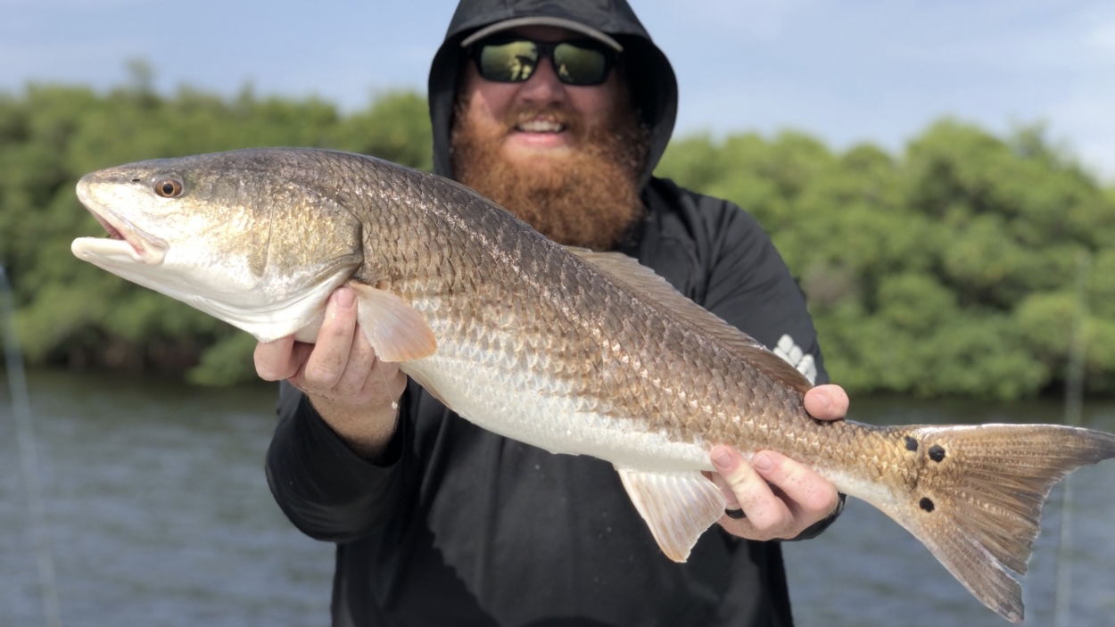 http://redfish