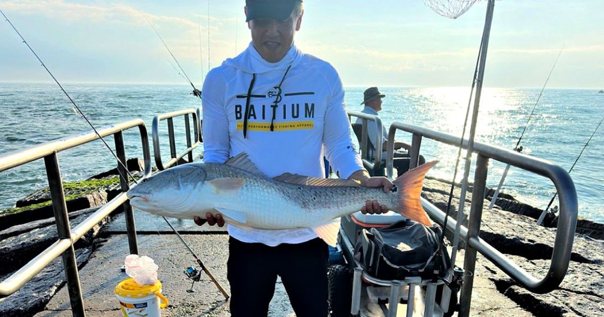 Underwater Analysis, Fake Shrimp vs Pinfish, Flounder (Salt Strong ...