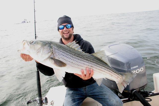 How To Catch Striped Bass Like A BOSS!