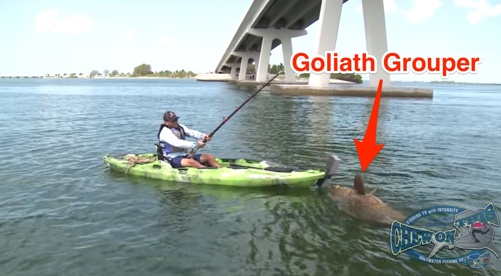goliath grouper landed from a kayak!