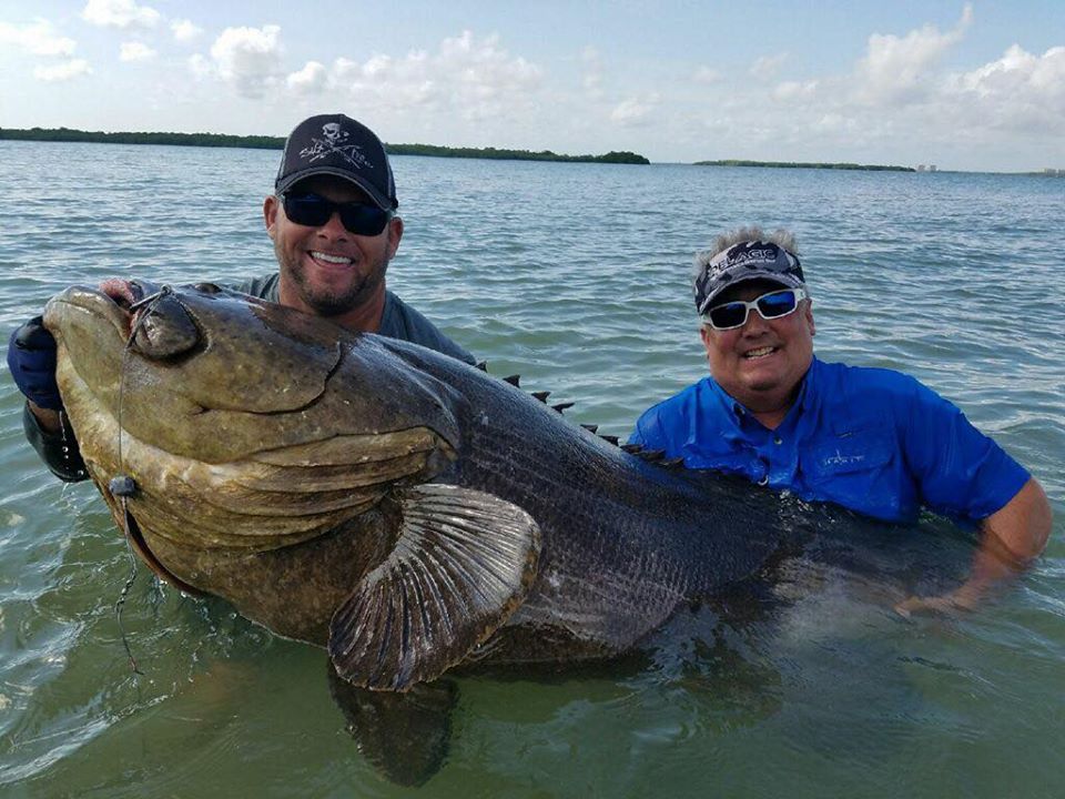 How To Catch 1,000 Goliath Grouper (With Capt. Ben Chancey)