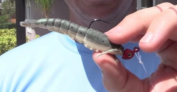rigging sand shrimp