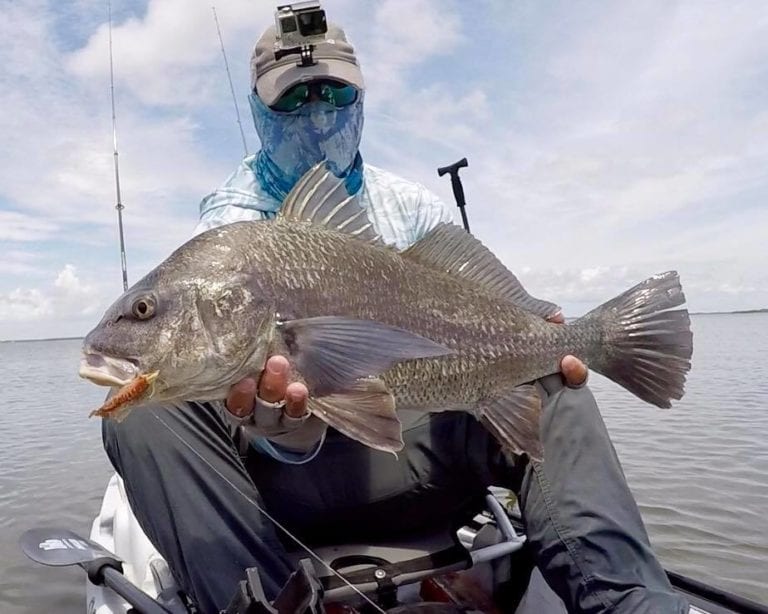 4 Best Fishing Lures For Black Drum (When To Use & How To Rig Them)