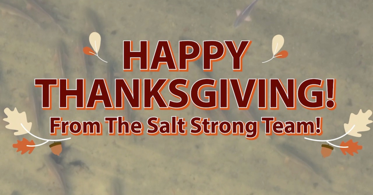 http://happy%20thanksgiving%20from%20salt%20strong