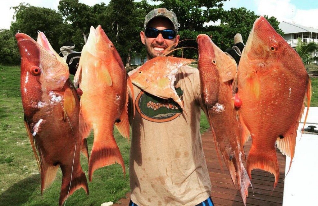 The Top 10 Hogfish Pictures On Instagram This Week!