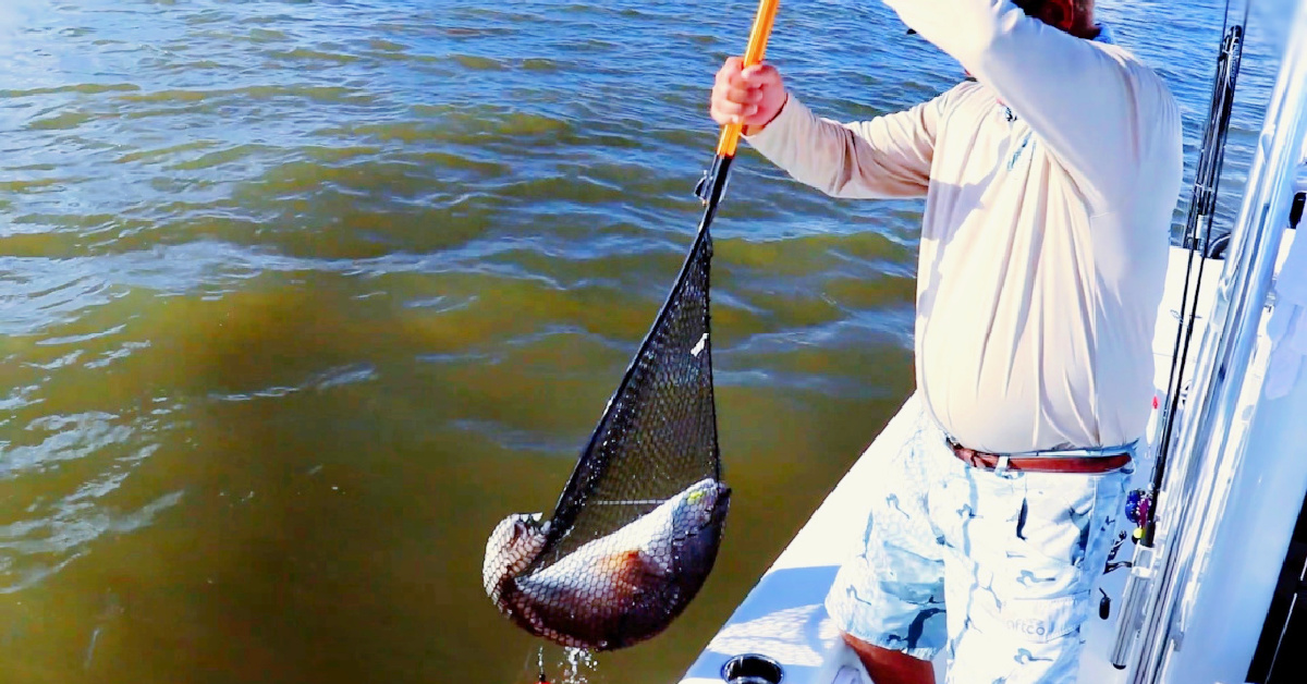 This Is How To Net Big Fish From A Boat Like A Pro