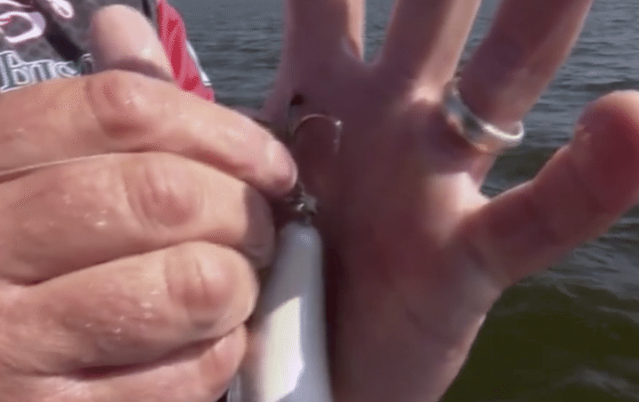 fishing hook stuck