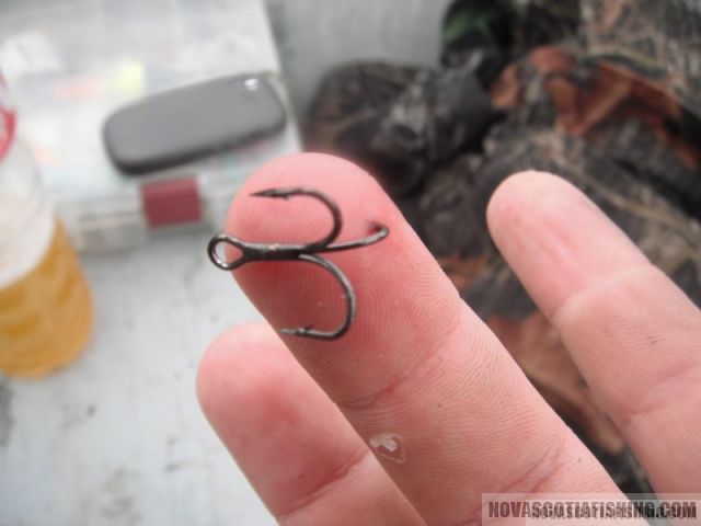 fishing hook stuck in finger