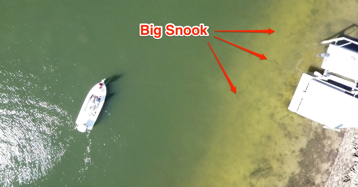 how to catch big snook and redfish