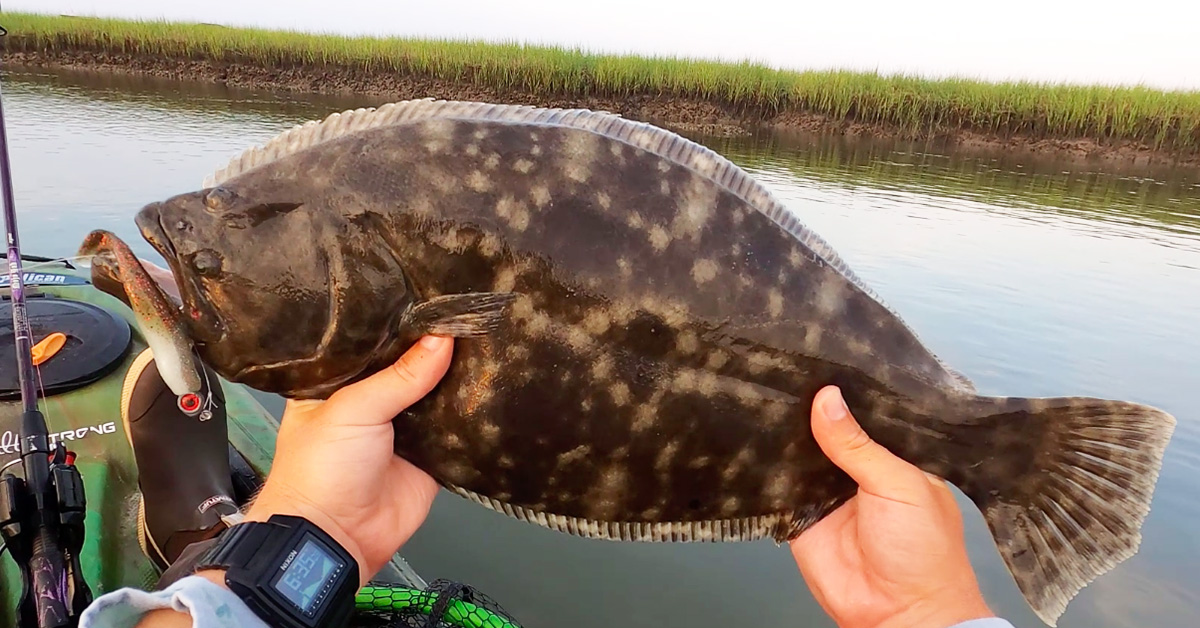 Best Lure For Doormat Flounder (And How To Use It To Catch More Fish)