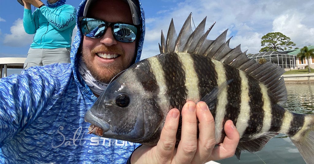 how to catch sheepshead on artificial lures