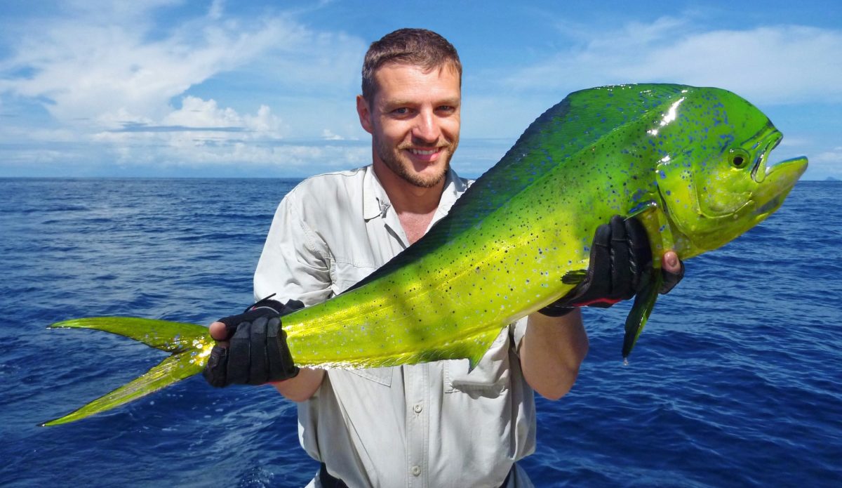 The Best Way To Cook Mahi Mahi TOP 7 RECIPES 