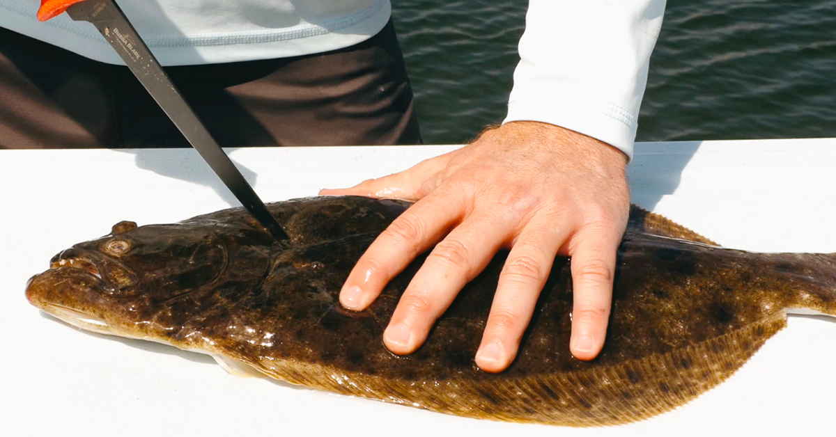 http://how%20to%20fillet%20flounder