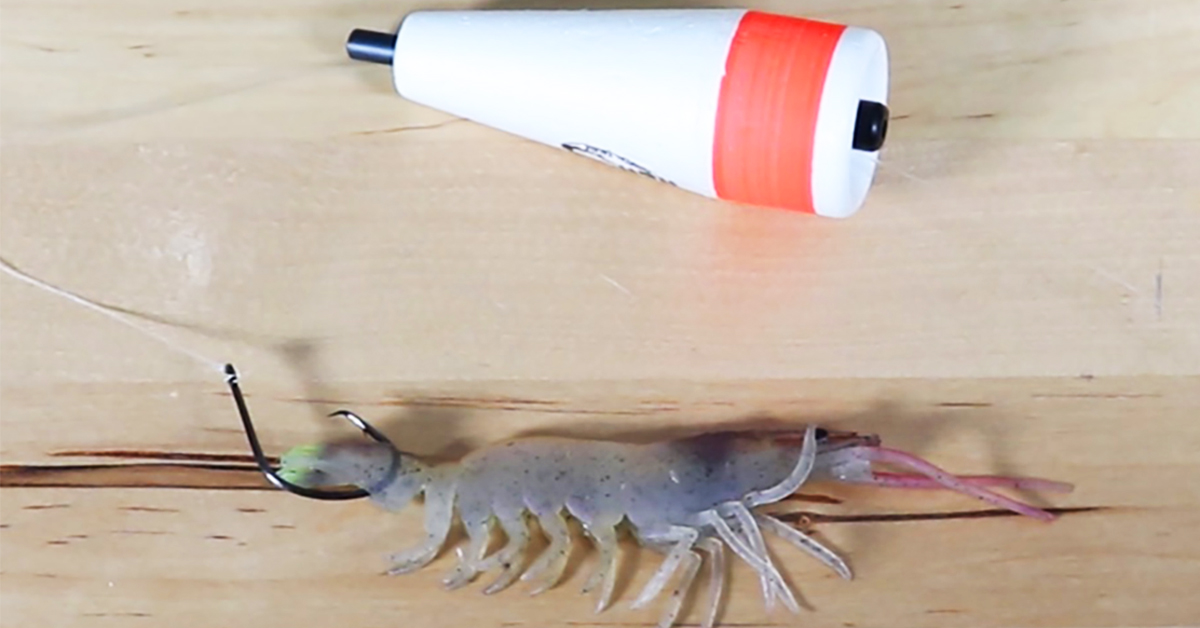 how to rig a shrimp on a popping cork