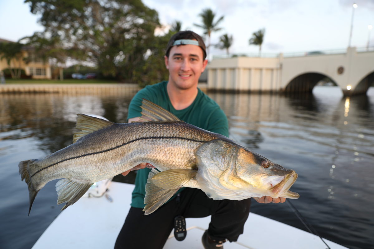 http://lawson%20lindsey%20snook%20fishing