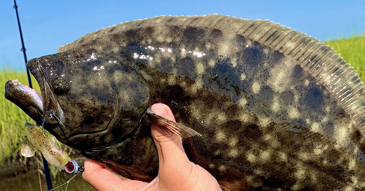 http://how%20to%20catch%20flounder