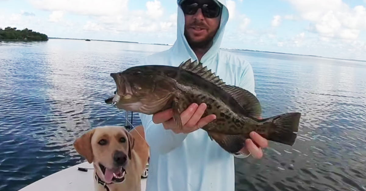 http://inshore%20grouper