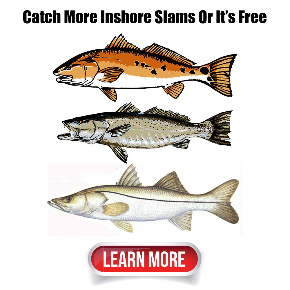 inshore slammer