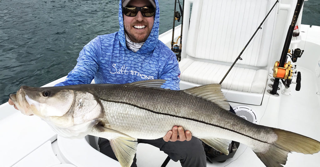 how to find feeding fish