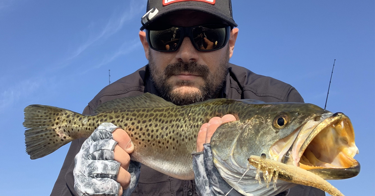 best trout tips