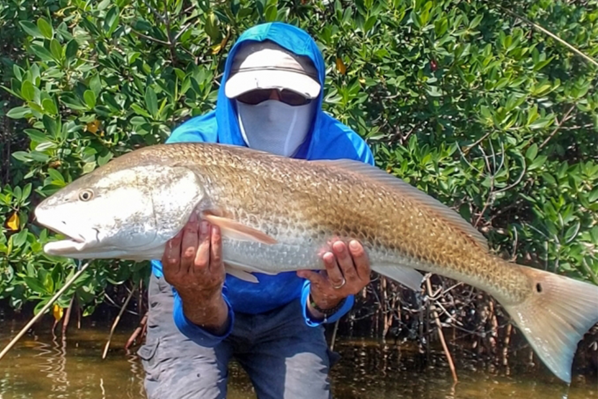 Fly Fishing for redfish