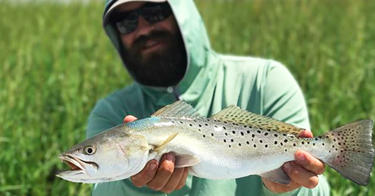 How To Catch Big Seatrout on Fly Fishing Tackle