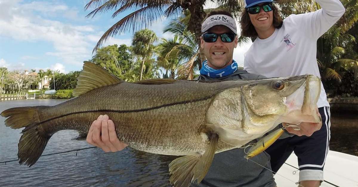 Jupiter Snooker with big snook on topwater