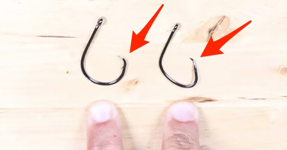 Circle Hooks & Stripers: You Have Questions, We Have Answers - The