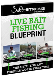 best live bait book