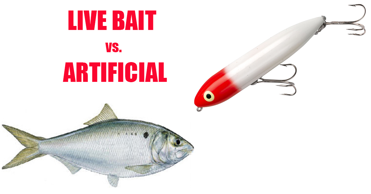 http://live%20bait%20fishing%20vs%20artificial%20lures